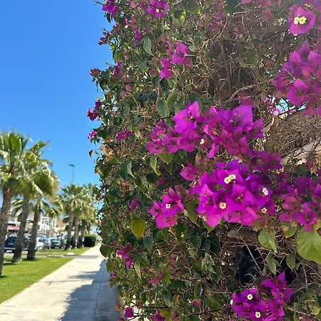 Apartamento Aguas Nuevas Costa Del Cezar *